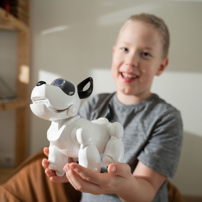 Home Artificial Intelligence